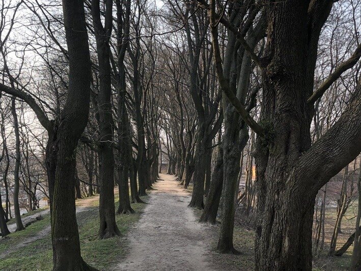 Здесь приезжим из Казахстана бросается в глаза обилие растений | Фото: личный архив