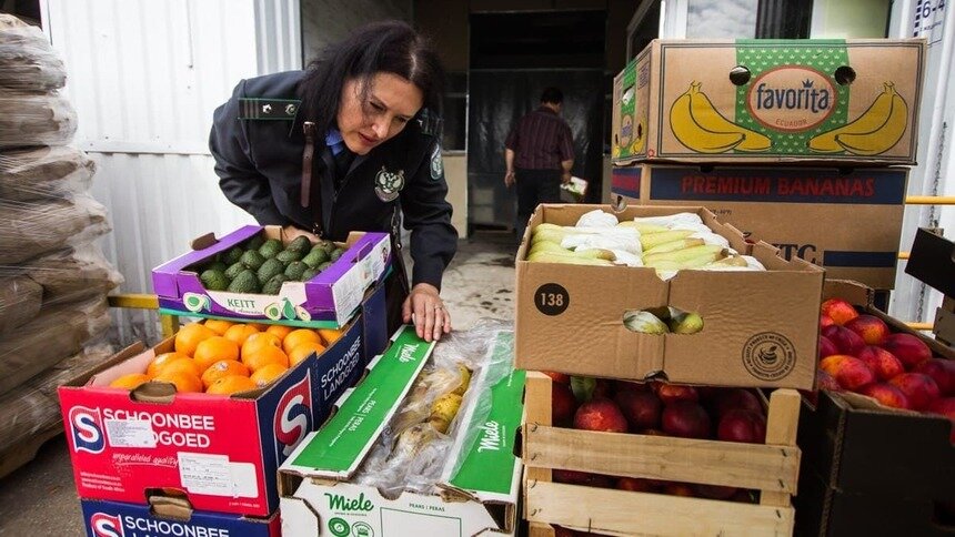 Названы три зелёных продукта, которые помогут женской коже в конце зимы - Новости Калининграда | Фото: Александр Подгорчук / Архив «Клопс»