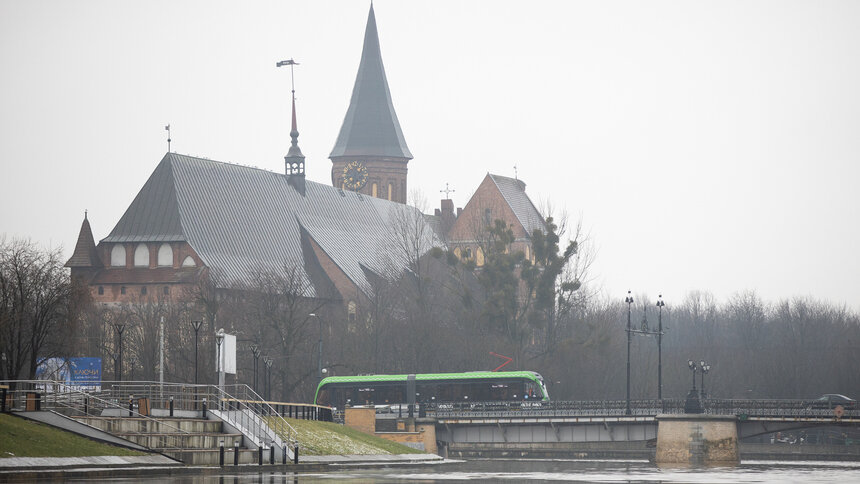 11 событий: что случилось в выходные в Калининграде и за его пределами - Новости Калининграда | Фото: Александр Подгорчук / «Клопс»