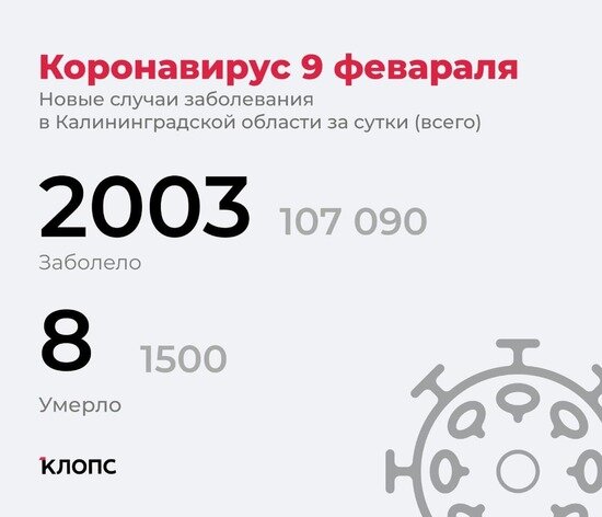 Каждый пятый заболевший — школьник: подробности о ситуации с ковидом в Калининградской области - Новости Калининграда