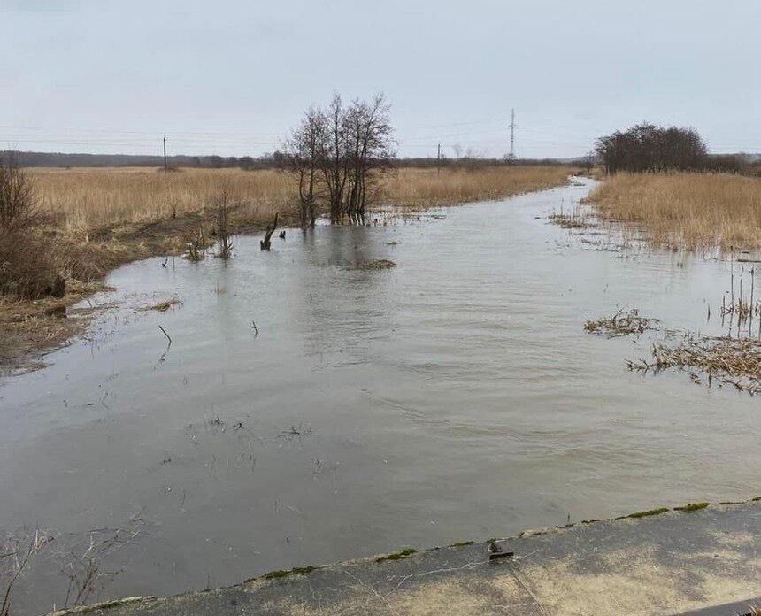 Упал в воду на глазах рыбаков: в Зеленоградском районе нашли тело 27-летнего утопленника - Новости Калининграда | Фото: региональное управление СКР 