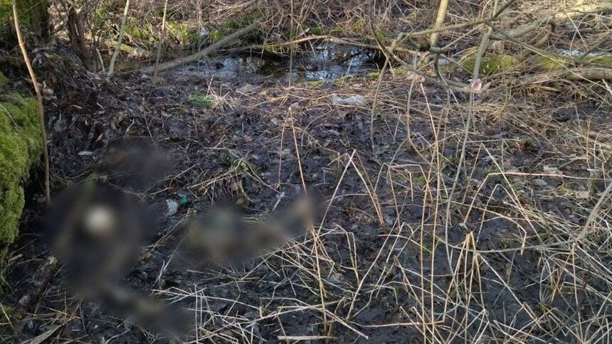 В парке Гагарина на Киевской нашли, предположительно, останки пропавшей в июне 2021 года пенсионерки - Новости Калининграда | Фото: региональный СКР