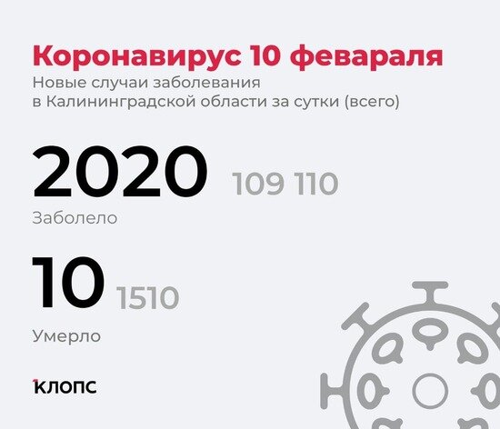 Каждый четвёртый заболевший — школьник: подробности о ситуации с ковидом в Калининградской области - Новости Калининграда