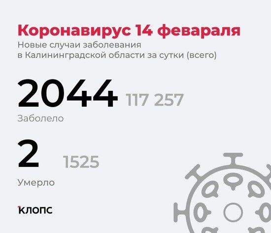 Дети стали болеть реже: подробности о ситуации с ковидом в Калининградской области - Новости Калининграда