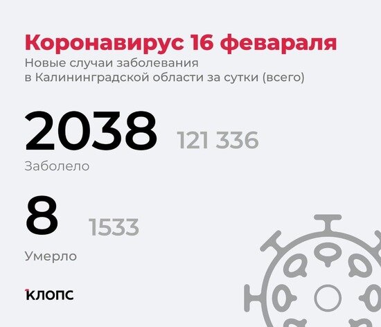 Почти каждый четвёртый заболевший — ребёнок: подробности о ситуации с ковидом в Калининградской области - Новости Калининграда