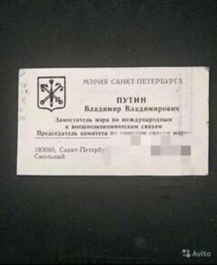 Неприхотливые помидоры и пластиковый стул Путина: 7 «президентских» товаров, которые можно найти на «Авито» - Новости Калининграда | Скриншоты сервиса «Авито»