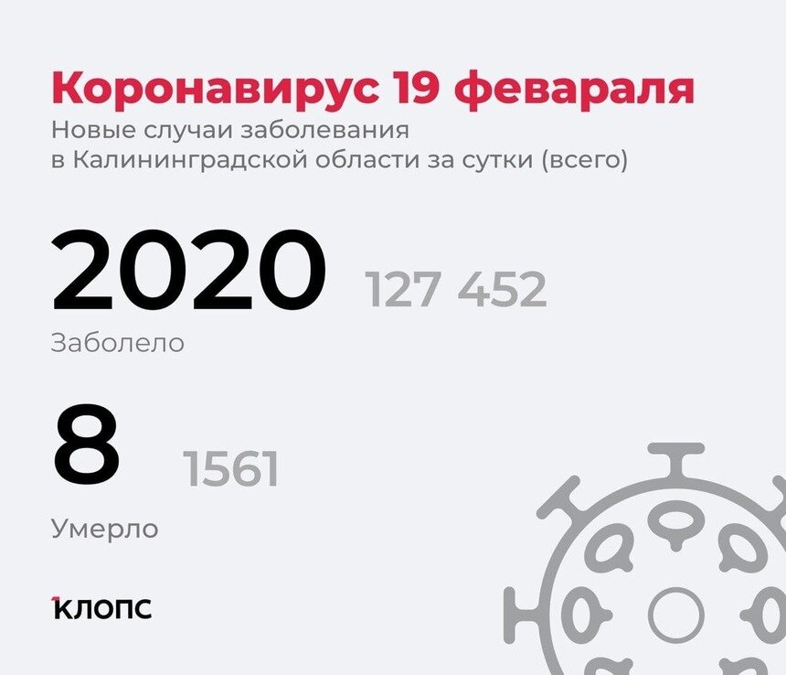 В оперштабе Калининградской области рассказали подробности о ситуации с ковидом - Новости Калининграда