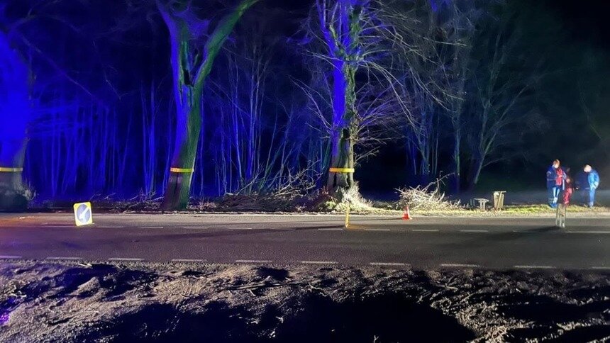 Шла по краю дороги: под Балтийском автомобиль сбил женщину - Новости Калининграда | Фото: ГИБДД региона