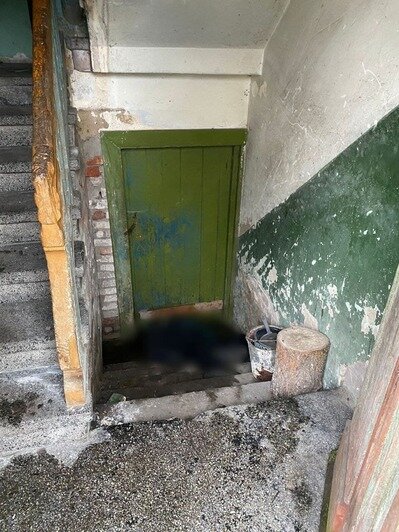 Упал и захлебнулся: в Советске у входа в подвал жилого дома нашли тело 47-летнего мужчины  - Новости Калининграда | Фото: СУ СК России по Калининградской области