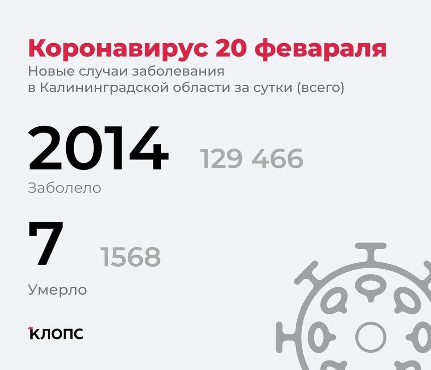 Ещё семь смертей: в калининградском оперштабе рассказали подробности о ситуации с коронавирусом - Новости Калининграда