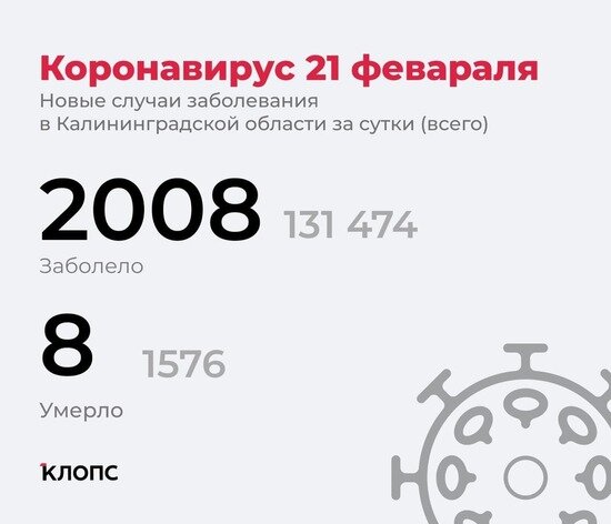 Подтвердилось ещё 8 смертей: подробности о ситуации с ковидом в Калининградской области - Новости Калининграда