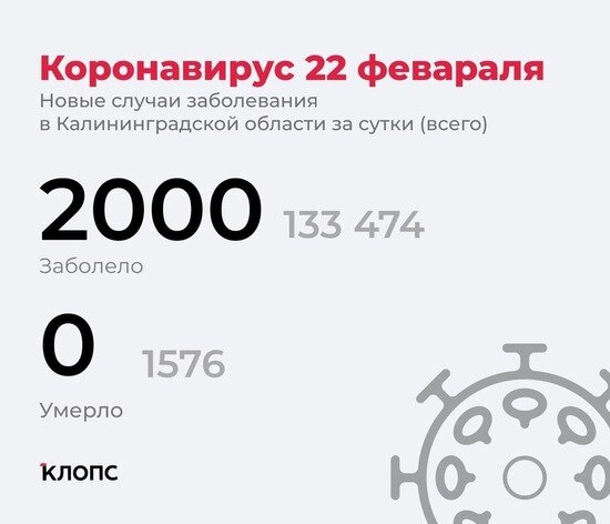 Почти каждый третий заболевший — пенсионер: подробности о ситуации с ковидом в Калининградской области - Новости Калининграда