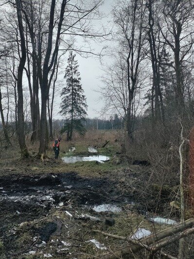 Место, где нашли сгоревший автомобиль | Фото: ПСО «Запад» 