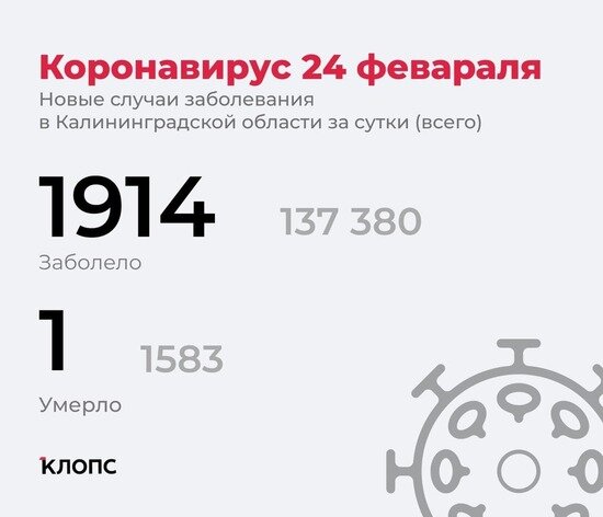 Каждый третий заболевший — пенсионер: подробности о ситуации с ковидом в Калининградской области - Новости Калининграда