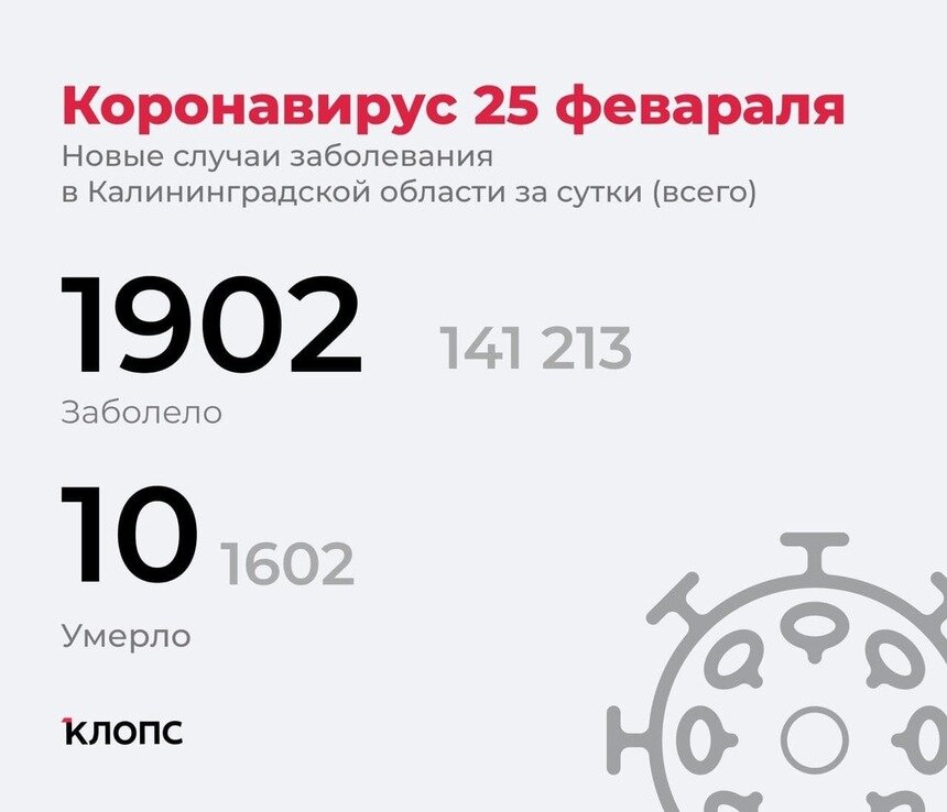 Ещё десять смертей: в калининградском оперштабе рассказали подробности о ситуации с коронавирусом - Новости Калининграда