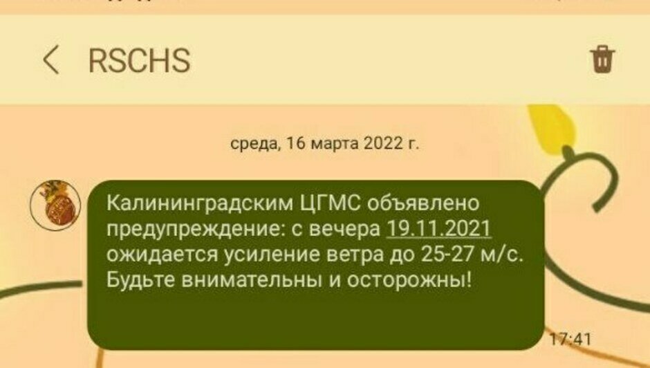 Калининградцам разослали ошибочное сообщение об усилении ветра - Новости Калининграда | Фото: Очевидец