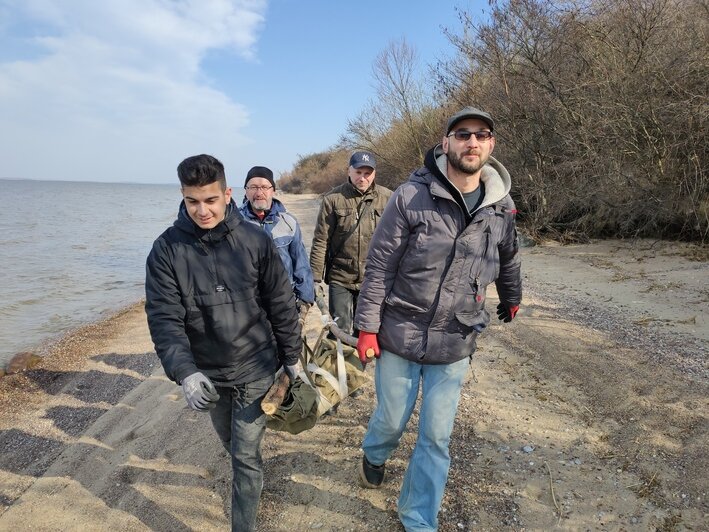 Под Калининградом нашли окаменелого головоногого моллюска возрастом более 200 млн лет (фото) - Новости Калининграда | Фото: Калининградский областной историко-художественный музей