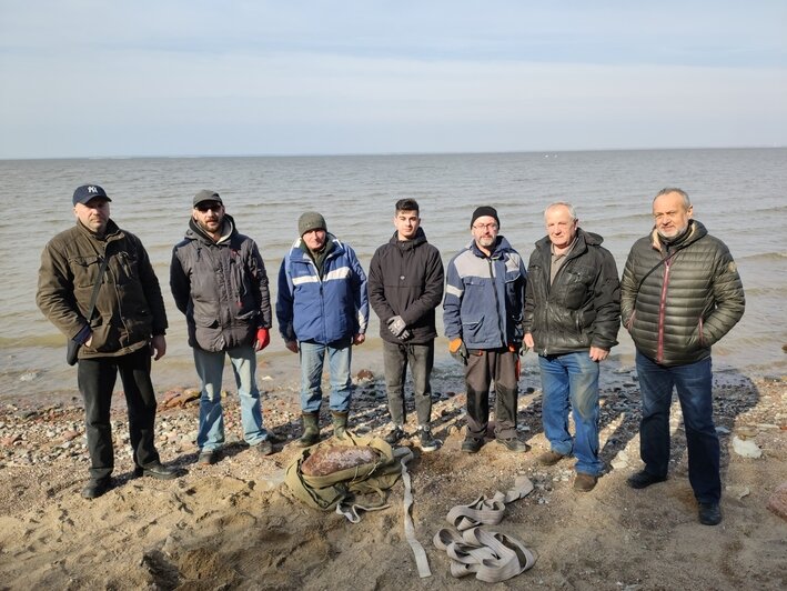 Под Калининградом нашли окаменелого головоногого моллюска возрастом более 200 млн лет (фото) - Новости Калининграда | Фото: Калининградский областной историко-художественный музей