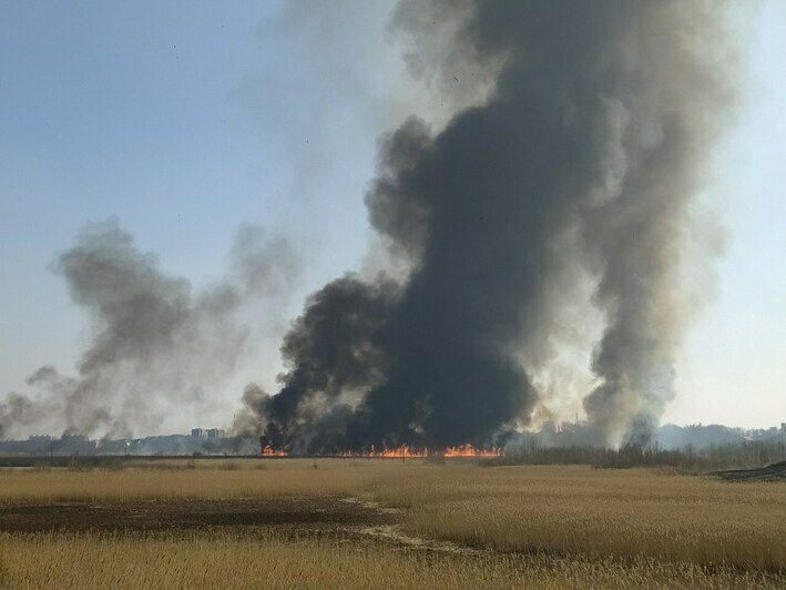 На Окружной за стадионом «Калининград» горит поле травы (фото, видео) - Новости Калининграда | Фото: очевидцы