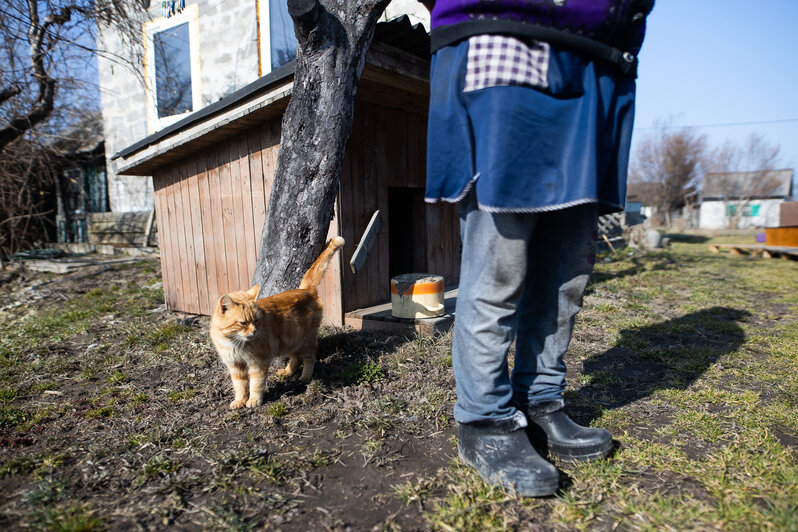 Пост в соцсетях помог изменить жизнь одинокой бабушки, живущей в недостроенном доме под Калининградом - Новости Калининграда | Фото: Александр Подгорчук / «Клопс»