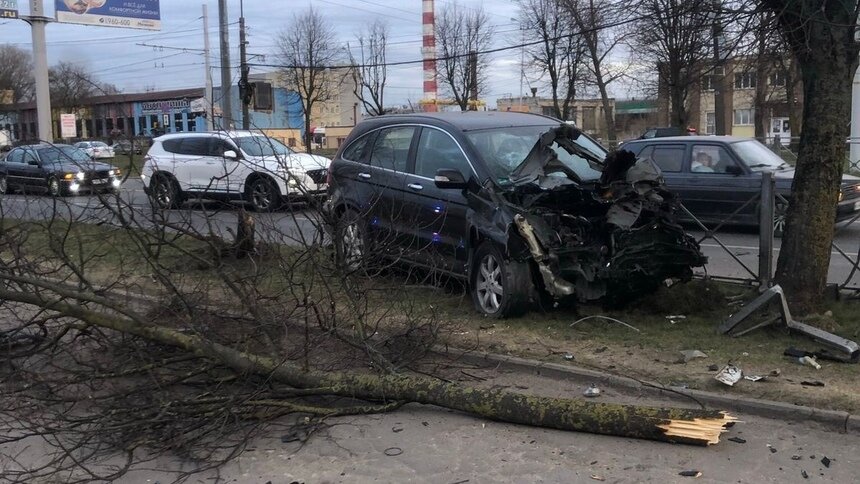На Моспроспекте водитель потерял сознание за рулём, снёс забор и въехал в дерево - Новости Калининграда | Госавтоинспекции Калининградской области в ВК
