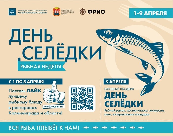 День селёдки: Рыбная неделя, семейные истории и новые открытия - Новости Калининграда