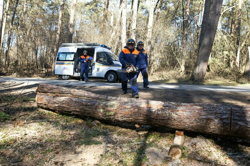 Чуть не сгорел пансионат: на Куршской косе состоялись учения МЧС по тушению лесного пожара (фото) - Новости Калининграда | Фото: Александр Подгорчук / «Клопс»