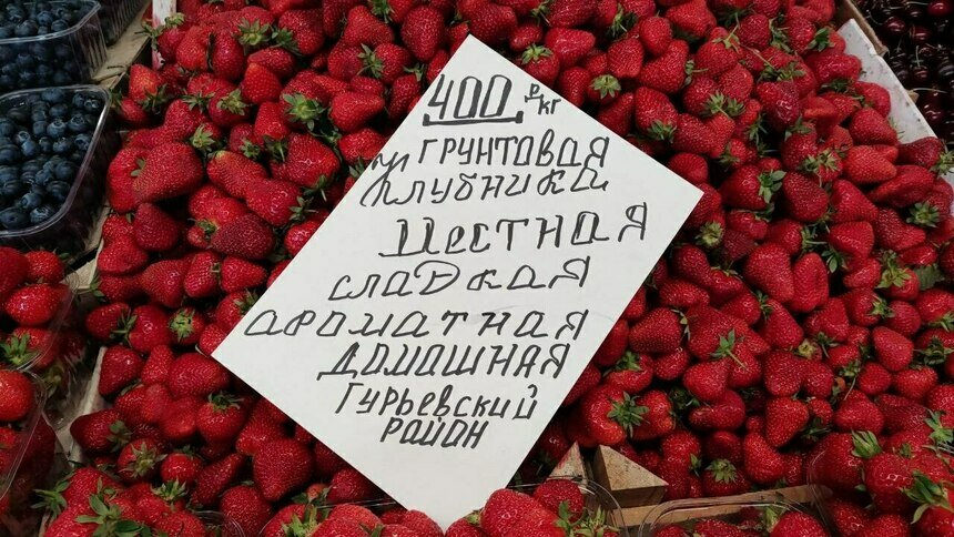 В Гурьевском районе выявили очаг антракноза земляники - Новости Калининграда | Фото: архив «Клопс»