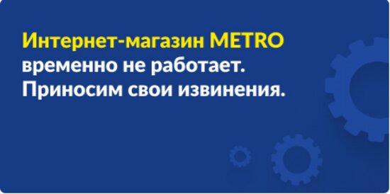 ТЦ Metro и интернет-магазин сети приостановили работу в России (обновлено) - Новости Калининграда | Скриншот страницы сайта Metro