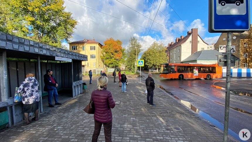 В Калининграде до конца октября на Павлика Морозова вернутся автобусы - Новости Калининграда | Фото: Александр Подгорчук / Архив «Клопс»