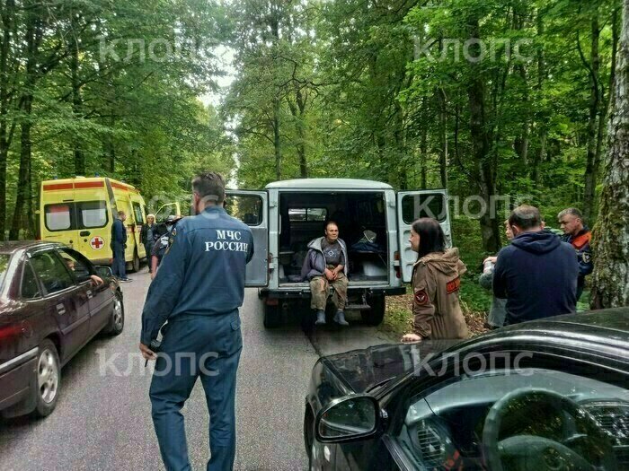 Год назад Александра Васильевна провела сутки в этом же лесу | Фото: ПСО «Запад» 