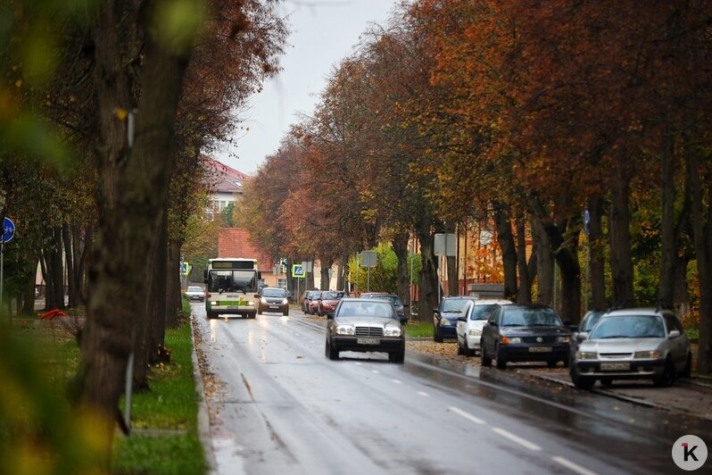 В Калининграде автобусы вернулись на отремонтированные Павлика Морозова и Судостроительную (фоторепортаж) - Новости Калининграда | Фото: Александр Подгорчук / «Клопс»