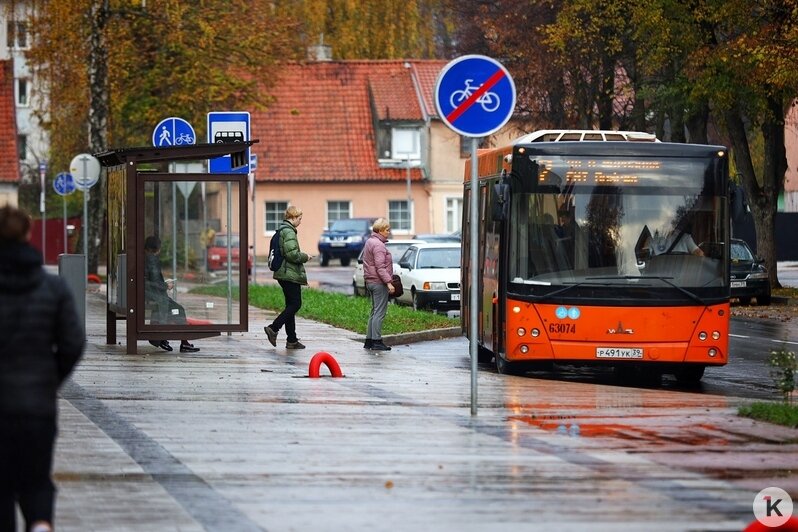 В Калининграде автобусы вернулись на отремонтированные Павлика Морозова и Судостроительную (фоторепортаж) - Новости Калининграда | Фото: Александр Подгорчук / «Клопс»