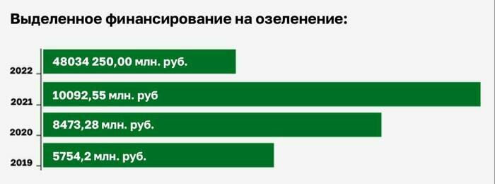 «Приствольные «квадраты» сегодня зияют пустотой»: Дятлова — о первом этапе осенней высадки зелени в Калининграде - Новости Калининграда | Александр Скачко