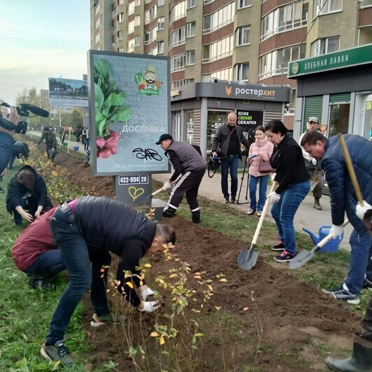 «Приствольные «квадраты» сегодня зияют пустотой»: Дятлова — о первом этапе осенней высадки зелени в Калининграде - Новости Калининграда | Фото автора