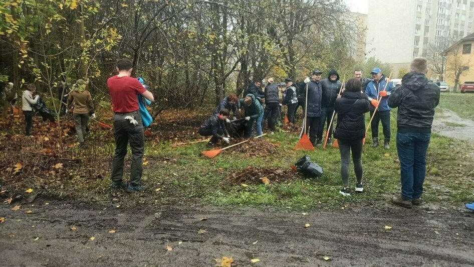 «Чиновнику полезно побыть полчаса дворником»: Дятлова — о субботнике в Калининграде (репортаж)      - Новости Калининграда | Фото: Анна Туманова / «Клопс»