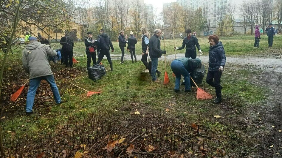 «Чиновнику полезно побыть полчаса дворником»: Дятлова — о субботнике в Калининграде (репортаж)      - Новости Калининграда | Фото: Анна Туманова / «Клопс»