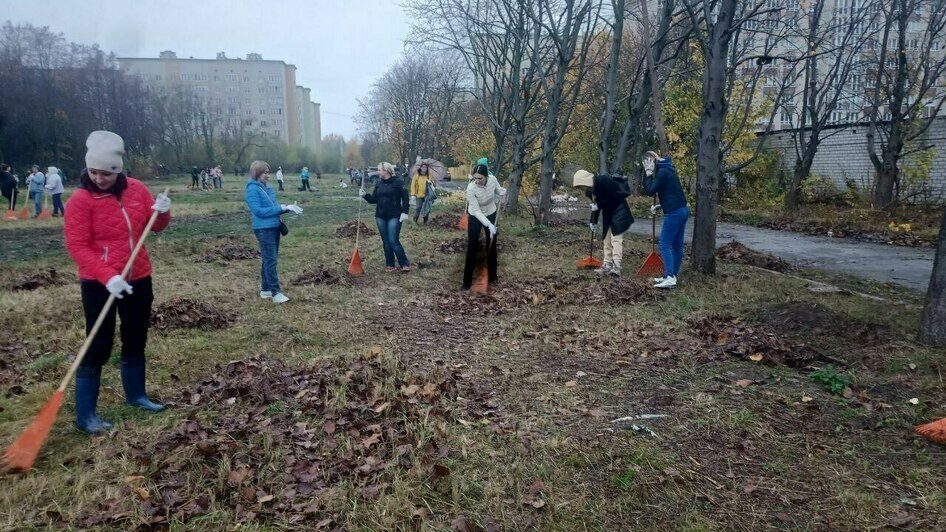 «Чиновнику полезно побыть полчаса дворником»: Дятлова — о субботнике в Калининграде (репортаж)      - Новости Калининграда | Фото: Анна Туманова / «Клопс»