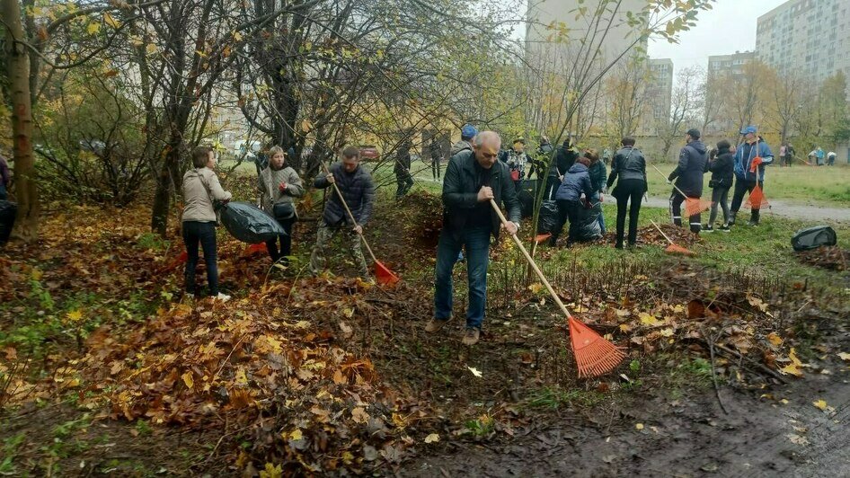 «Чиновнику полезно побыть полчаса дворником»: Дятлова — о субботнике в Калининграде (репортаж)      - Новости Калининграда | Фото: Анна Туманова / «Клопс»