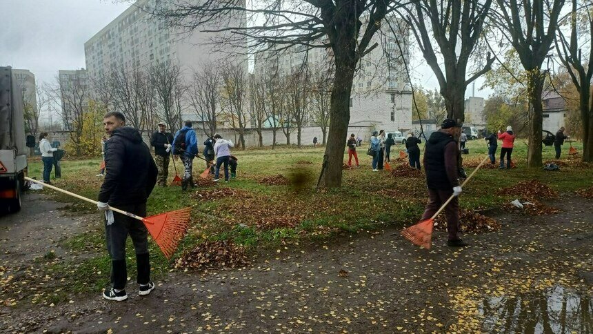 «Чиновнику полезно побыть полчаса дворником»: Дятлова — о субботнике в Калининграде (репортаж)      - Новости Калининграда | Фото: Анна Туманова / «Клопс»