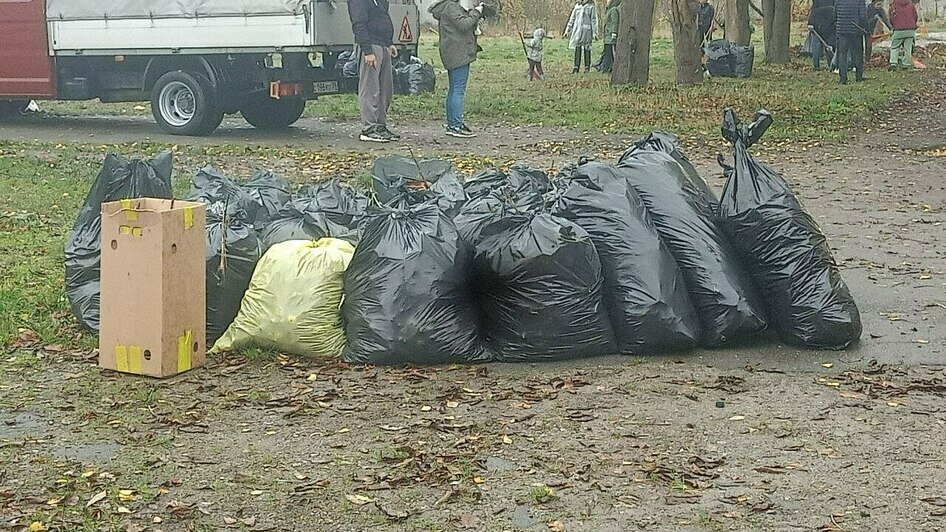 «Чиновнику полезно побыть полчаса дворником»: Дятлова — о субботнике в Калининграде (репортаж)      - Новости Калининграда | Фото: Анна Туманова / «Клопс»