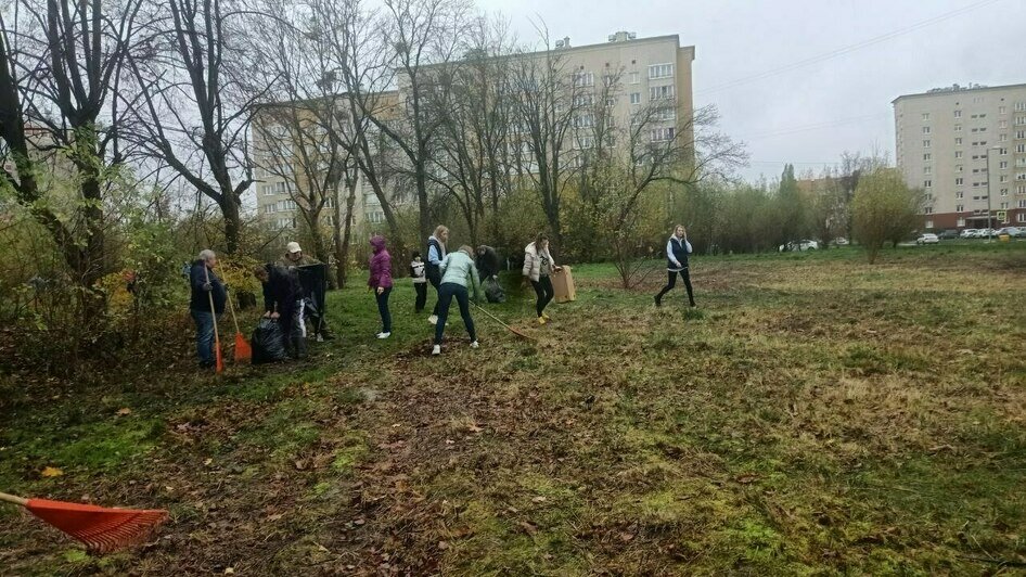 «Чиновнику полезно побыть полчаса дворником»: Дятлова — о субботнике в Калининграде (репортаж)      - Новости Калининграда | Фото: Анна Туманова / «Клопс»