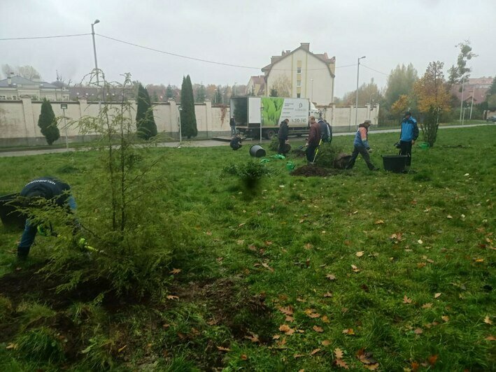 «Чиновнику полезно побыть полчаса дворником»: Дятлова — о субботнике в Калининграде (репортаж)      - Новости Калининграда | Фото: Анна Туманова / «Клопс»