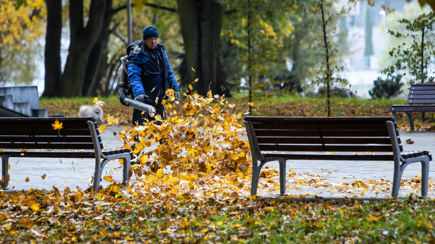 Давка в Корее, обрушение моста в Индии и убийство в регионе: 11 событий, которые калининградцы обсуждали в выходные - Новости Калининграда | Фото: Александр Подгорчук / Архив «Клопс»