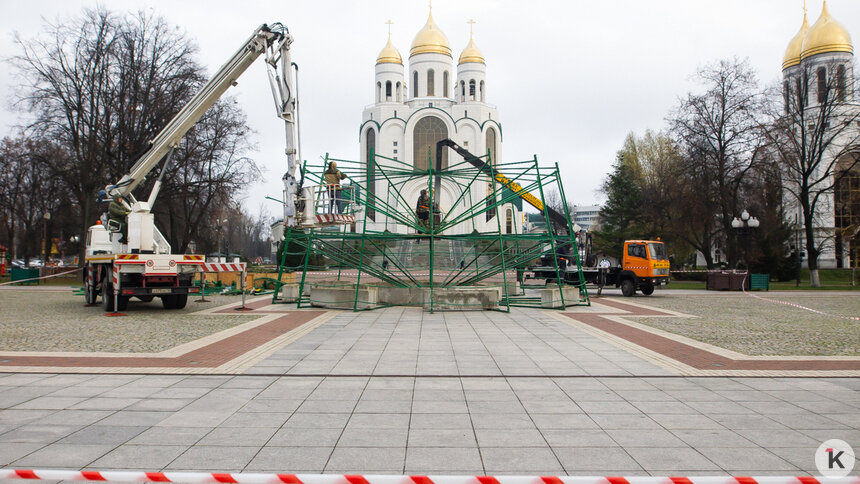 Подарки детям мобилизованных, отмена фейерверка, старая ёлка: Дятлова — о праздновании Нового года в Калининграде - Новости Калининграда | Фото: Александр Подгорчук / Архив «Клопс»