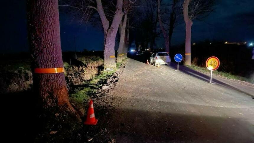 В Гурьевском районе водитель Mazda врезался в дерево, спасая идущего вдоль проезжей части пешехода - Новости Калининграда | Фото: пресс-служба региональной ГИБДД