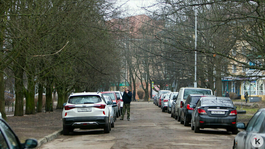 Дятлова: Подрядчика ремонта на Соммера включили в реестр недобросовестных поставщиков - Новости Калининграда | Фото: Александр Подгорчук / Архив «Клопс»