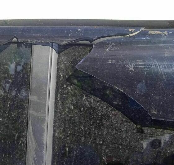 В Калининграде инвалид пытается получить компенсацию за разбитую машину, на которую упало дерево (фото) - Новости Калининграда | Фото: пресс-служба прокуратуры Калининградской области