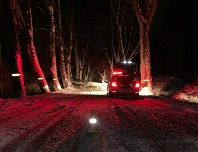 На трассе Зеленоградск — Приморск легковушка налетела на упавшее дерево и съехала в кювет - Новости Калининграда | Фото: пресс-служба регионального УМВД