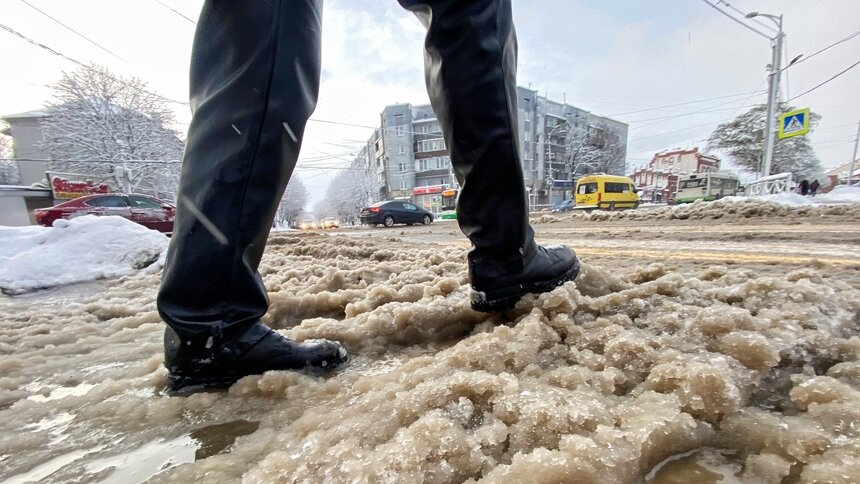 Фото дня: деревья укрыло белым кружевом, а под ногами калининградцев чавкает снежная каша - Новости Калининграда | Фото: Александр Подгорчук / «Клопс»